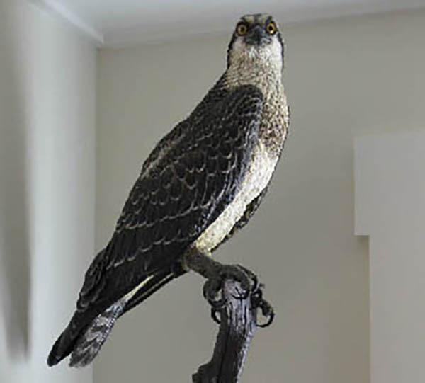 Osprey sculpture